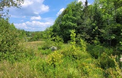Lot 0 High Street, West Gardiner, ME 04345