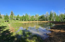 TBD Dave Wood Road, Montrose, CO 81403
