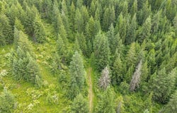 19960 N Mt Spokane Park Dr, Mead, WA 99021