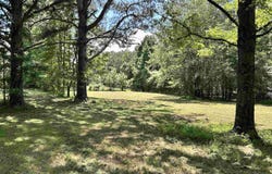 135 County Road 692, Cedar Bluff, AL 35959