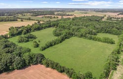 928 Curtis Road, Quincy, MI 49082