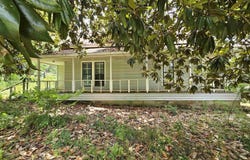 151 DOWDLE STREET, MILLPORT, AL 35576