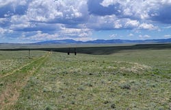 CO