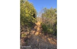 Rudd Hollow Rd, Townsend, TN 37882
