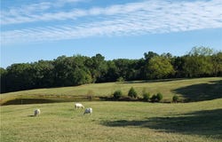 1108 Nations Road, Hodges, SC 29653