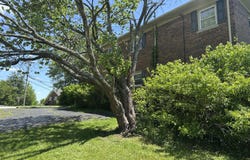 228 Magnolia Drive, Richmond, KY 40475