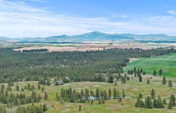 Xxx Vacant Land, Rosalia, WA 99170