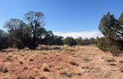 5450 County Line Road, Snowflake, AZ 85937