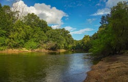 0 Hwy 29, Marion Junction, AL 36759