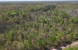 Tbd Engine Hill Road, Dairyland Twp, WI 54830