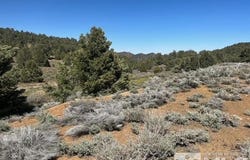 1540 Yellowjacket Road, Reno, NV 89521
