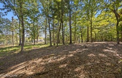 110 E Shore Drive, Rockwood, TN 37854