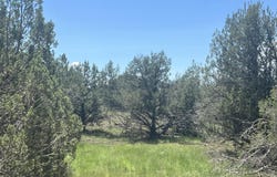 202 W Hillcrest Drive, Williams, AZ 86046