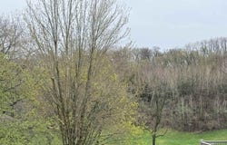 10 Linden Court, GALENA, IL 61036