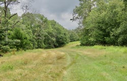 Tbd Woodland Drive, Seneca, MO 64865
