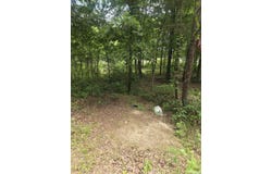 Polk Rd 76 E, Mena, AR 71953