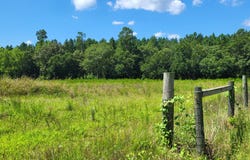 5050 Batavia Way, Wagener, SC 29164