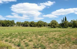 2590 Galley Lane, Grand Junction, CO 81505