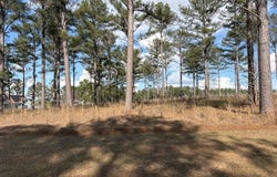 600 Thompson Level Rd, Lyons, GA 30436