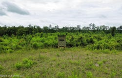 Mary Wall Bridge Rd/mt Vernon, Liberty, MS 39645