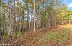 167 Balfour Drive, Harriman, TN 37748