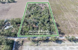 McAlpin, FL 32062