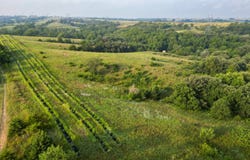 TBD 510 Avenue, Monowi, NE 68746