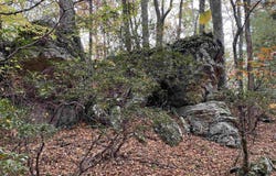 HALTERMAN HOLLOW LN, MONTEREY, VA 24465