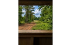 Settlement Road, Detroit, AL 35552