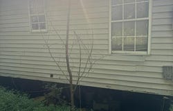 80 Summermont Circle, Summer Shade, KY 42166