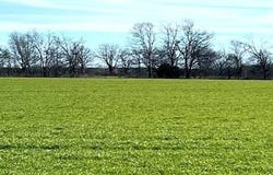 Tbd Farm Road 834, Roxton, TX 75477