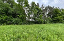 1509 BENT STICK DRIVE, Wausau, WI 54403