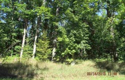231 KLEEHAMMER CLUB DRIVE, KALKASKA, MI 49646