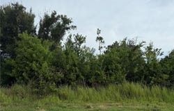 9491 TACOMA AVENUE, ENGLEWOOD, FL 34224