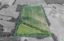 -- Holcomb Road, Ripley, TN 38063