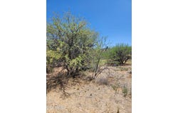 16655 S CORDES Circle W, Mayer, AZ 86333