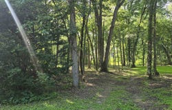 Orchid Lane, OREGON, IL 61061