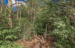 V/L Usher Road, Olmsted Twp, OH 44138