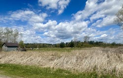 ALP Drive, PINE RIVER, WI 54965