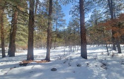 R-19S R-19N Serenity, Chama, NM 87520