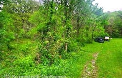 Iris Lane, Peterstown, WV 24963
