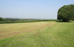 320 Acre Street, Guttenberg, IA 52052
