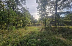 Rr 1 Box 751, Cabool, MO 65689