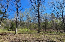 0000 Wilderness Springs - Tract  CCCCC  TR, Lead Hill, AR 72544
