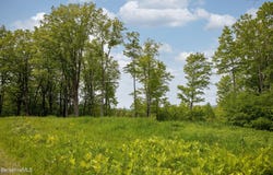 Lot 7 New Marlborough Hill Rd, New Marlborough, MA 01230