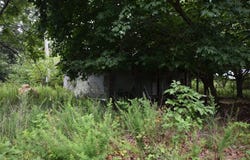 36321 HWY 20, Jay, OK 74346