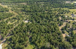 Lot 6 Autumn RDG, Bastrop, TX 78602