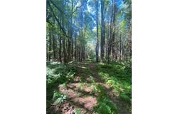 250 Stonehouse Road, Kortright, NY 13739