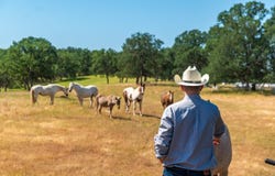 18045 Red Bank Road, Red Bluff, CA 96080