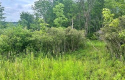 Sisson Hill Rd, Unadilla, NY 13849